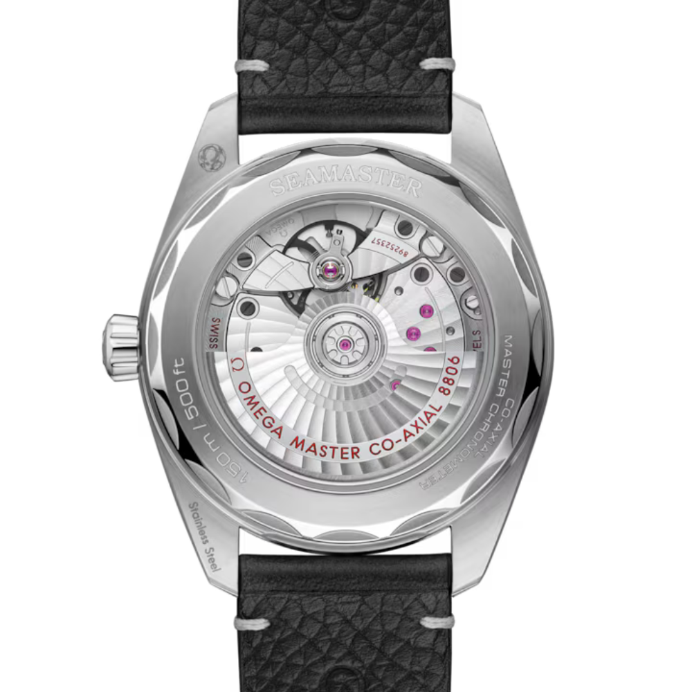 Seamaster Railmaster Ref. 235.12.38.20.06.001 - Image 2